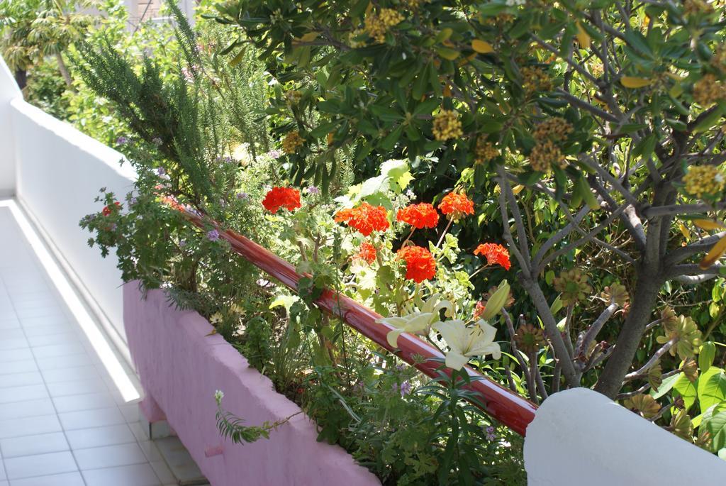 Stam & John Apartments Kos Town Luaran gambar